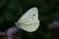 228936