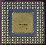 229446