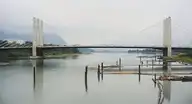 229920
