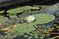 230328