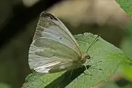 230766