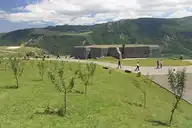 23081