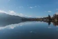 232553