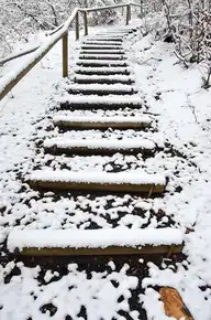 232804