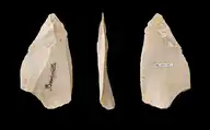 233245