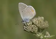 233630