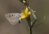 233652