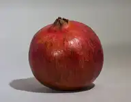 233754
