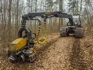 233923