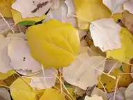 234543