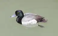 234634