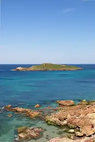 235561