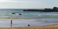 235566