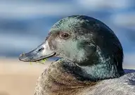 235898