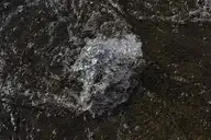 235971