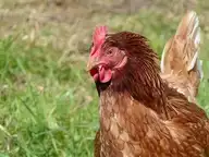 236280