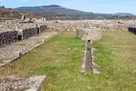 236386
