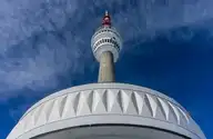 236454