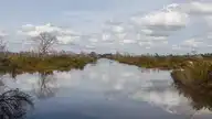 237247
