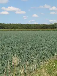 237330