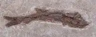 238025