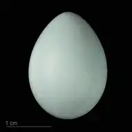 238250