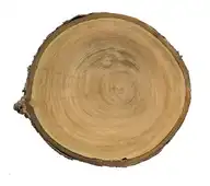 238277