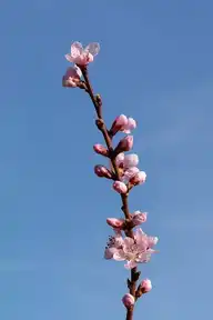 238304