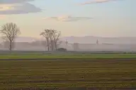 238317