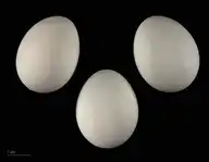 238527