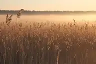 238570