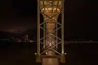 238876