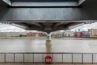 238894