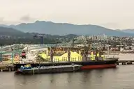 239071