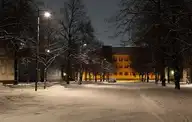 239383