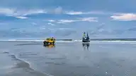 239443