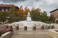 239753