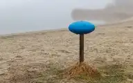 239897