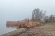 239901