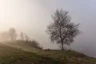 239903