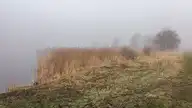 239905