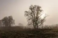 239912