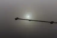 239919