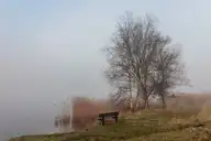 239921