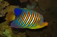 240056