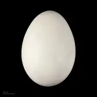 240057