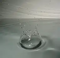 2401