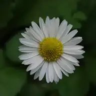240240