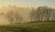 240420
