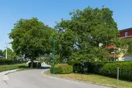 240612